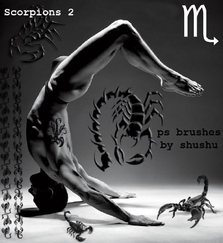 Brush Scorpions 2